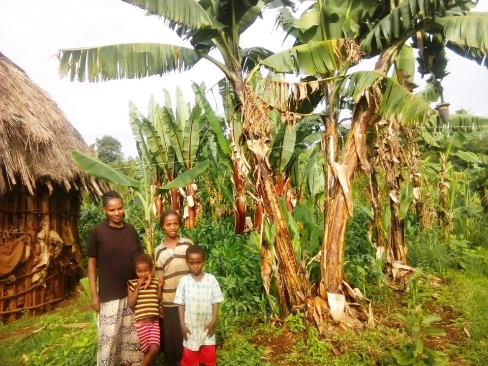 Meselech and her children stand beside their crops.